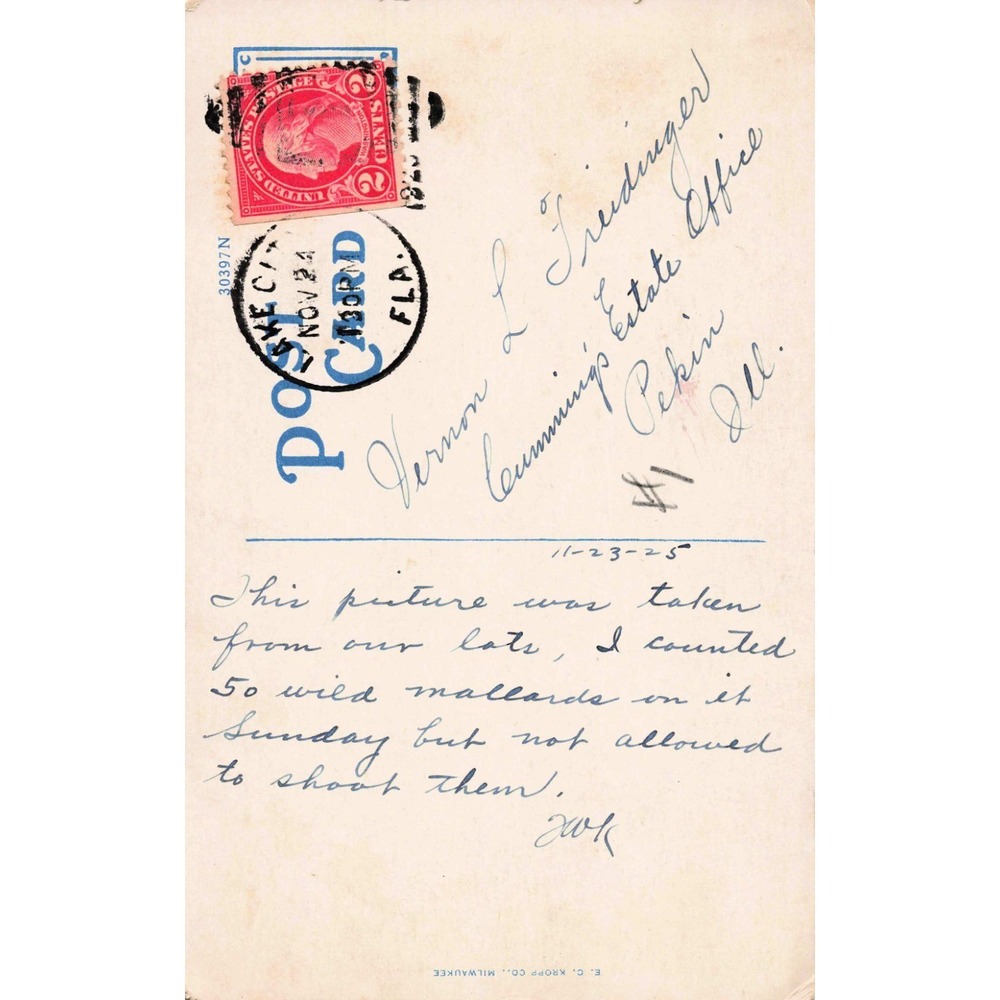 Lake City Florida FL Lake Isabella Woman's Club White Border Postcard 1925 - Picture 2 of 2